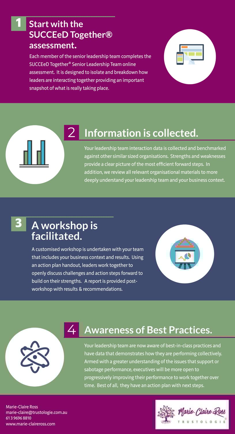 SUCCEED Together process