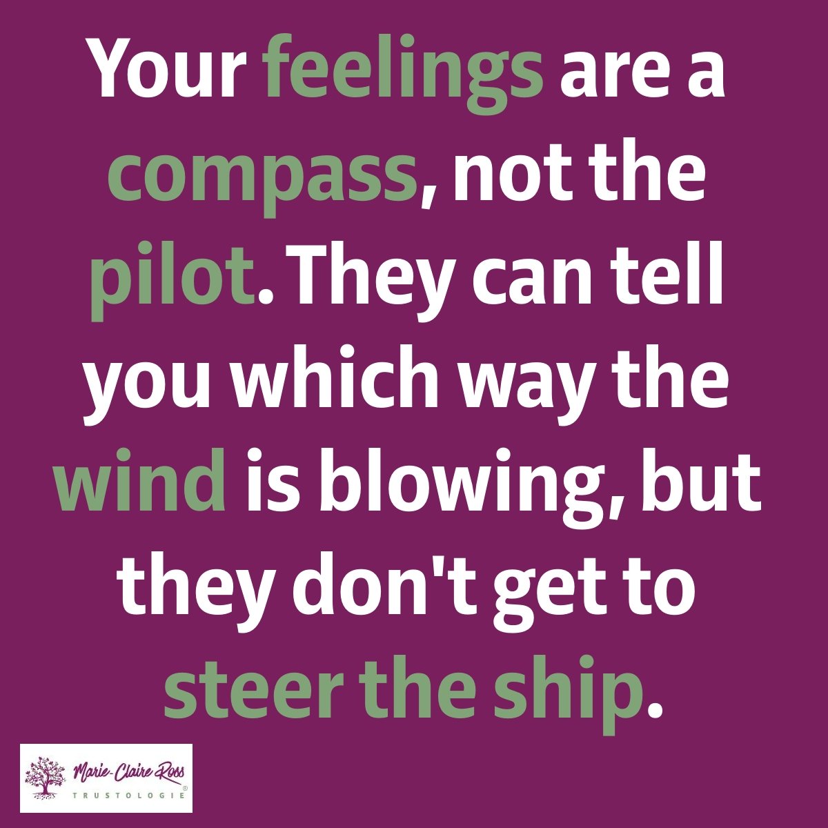 Your feelings are a compass, not the pilot. They can tell you which way the wind is blowing, but th