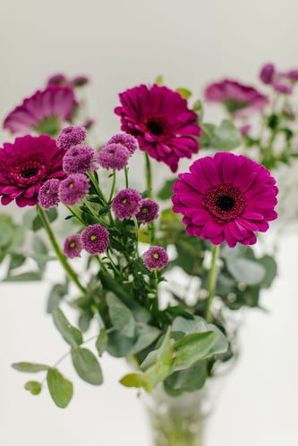 ceo-coaching-services