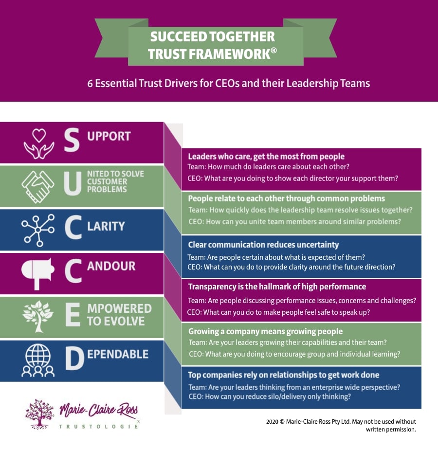 Building Trust in Leadership Teams Framework