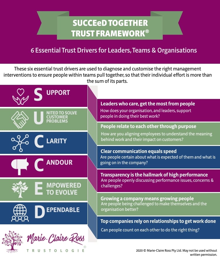 SUCCEED Together Trust Framework SUCCEED Together Trust Framework