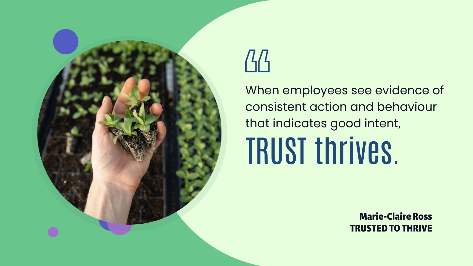 TRUST Thrives